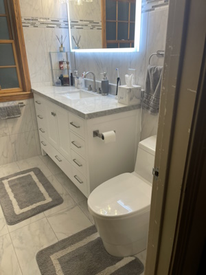 Luxury bathroom remodeling Gobles MI